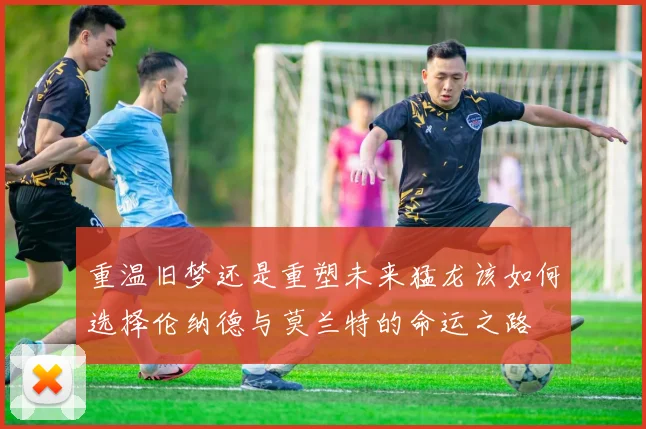 重温旧梦还是重塑未来猛龙该如何选择伦纳德与莫兰特的命运之路