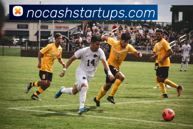互动解说服务